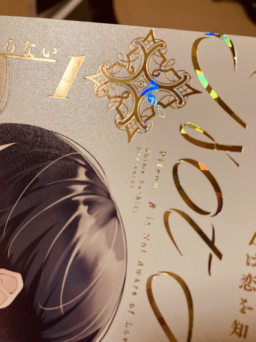 表紙すごいキレイにしてもらった!夢のキラキラ箔押✨✨ 