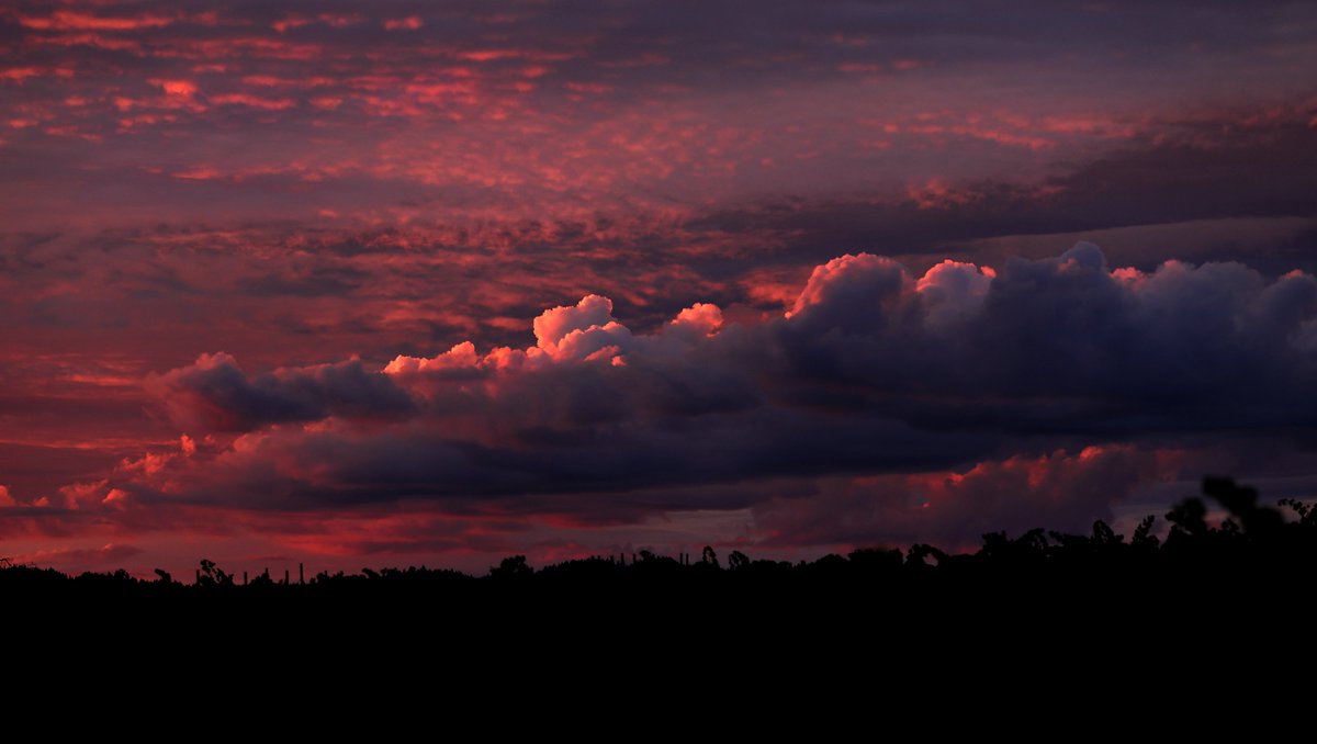It's felt like autumn in NorCal for awhile, so here are  images from the past couple of days to marking the change of season in Sonoma County. <a href="/NorthBayNews/">The Press Democrat</a>