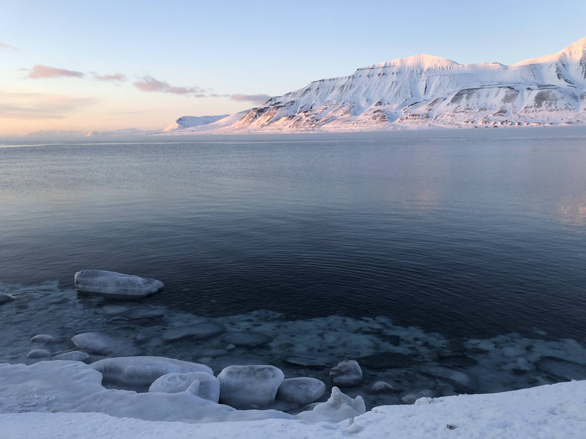 I was lucky to come back a fourth time for studying Arctic glaciers in Spring, while taking the AG-325 Glaciology course @UNISvalbard ❄️Those 6 weeks were unlike the others: snowscooter driving, extreme temperatures < - 15°C , glacier caving, snow pits and ice coring🤩