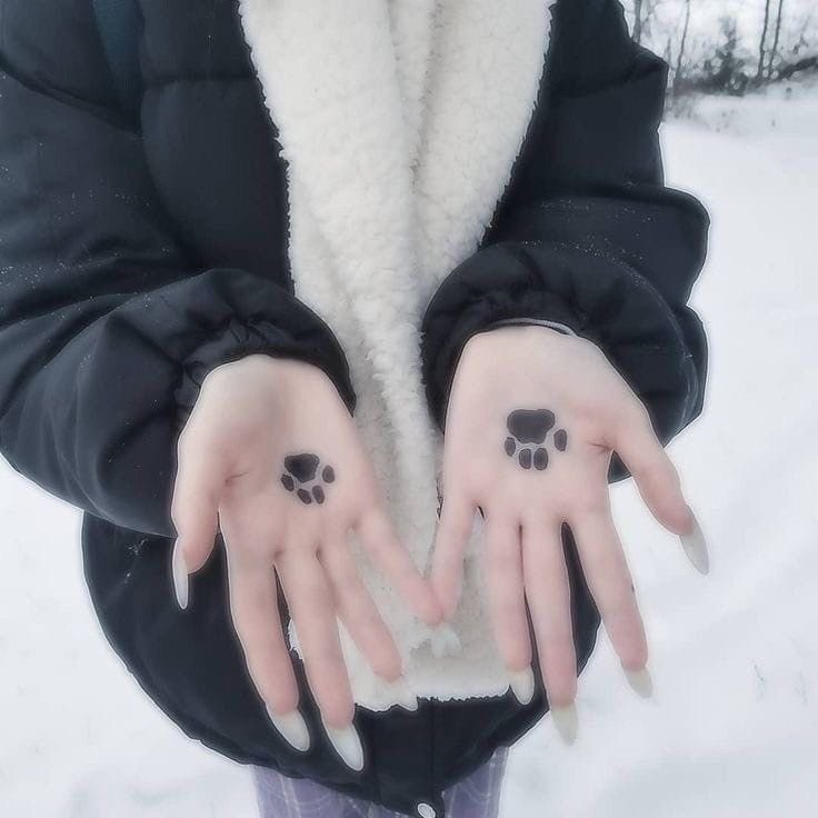 AD0R3ED's tweet photo. thinspo thread with cats !! a VERY needed thread 🐾 https://t.co/2UP6aA47am