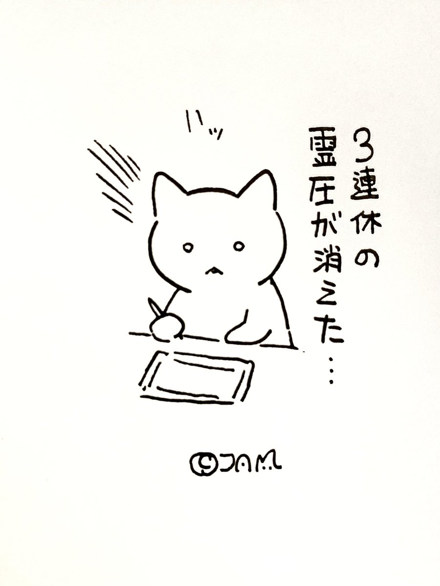 休めない猫🐱 