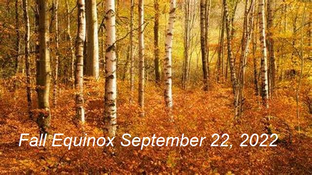 charliecoope42's tweet photo. Autumn Equinox
09/22/2022
#AutumnEquinox
#autumn
#equinox
#FallEquinox
#fall
#seasons
#EndOfHarvest
#celestialequator
#darkdays https://t.co/OX9pZm3EB6