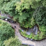 ツイートに含まれる画像