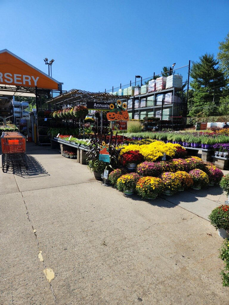 renee wood (@rwoodsgh) on Twitter photo Love this cross merchandising with yard signs in 954-It’s Fall Y’all! It’s a fun welcome to the garden center. <a href="/ElisabethVollbr/">Elisabeth Vollbrecht</a> <a href="/aromelczyk/">Adam Romelczyk</a> <a href="/ChristineTHD/">Christine Sweeney</a> Love this cross merchandising with yard signs in 954-It’s Fall Y’all! It’s a fun welcome to the garden center. <a href="/ElisabethVollbr/">Elisabeth Vollbrecht</a> <a href="/aromelczyk/">Adam Romelczyk</a> <a href="/ChristineTHD/">Christine Sweeney</a>