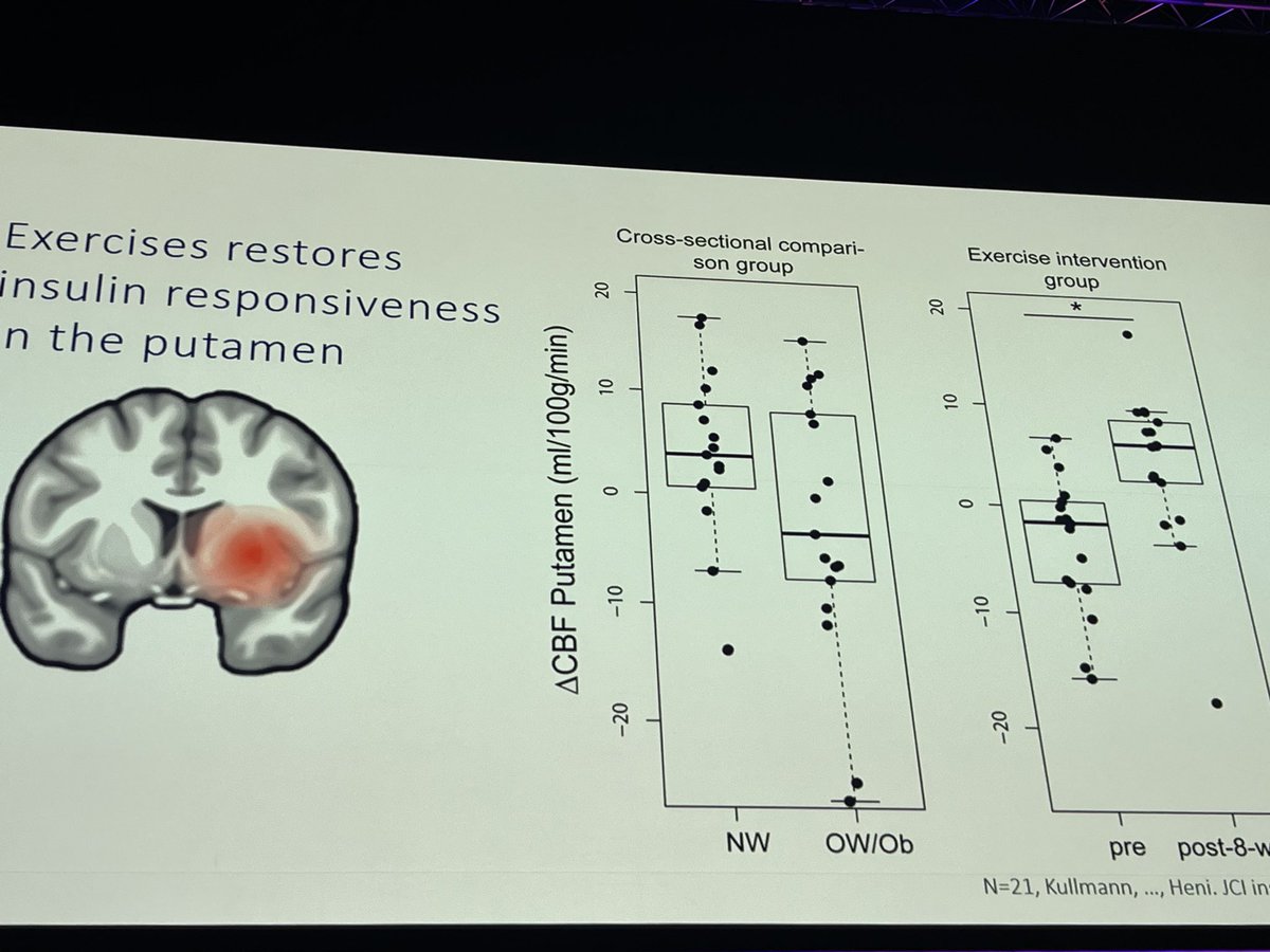 YepezDra's tweet photo. Very interesting data about the insulin resistant brain, body fat distribution and cognitive function (and restore function with exercise and empagliflozin) Dr Martin Heni. #EASD2022 https://t.co/XjhRjHMco1