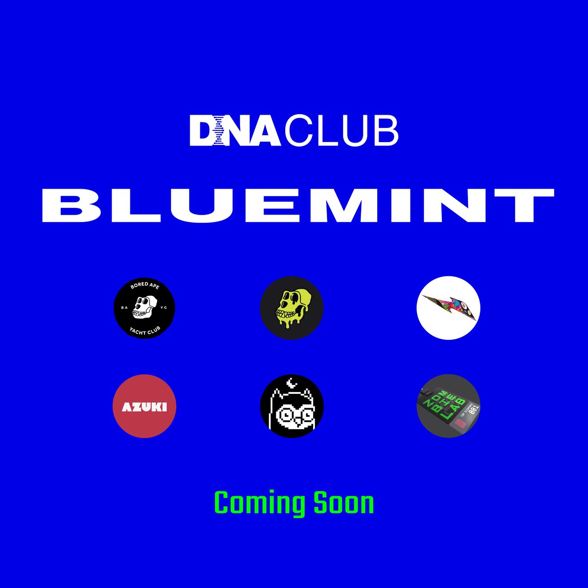 Decentralized Network Asia Club tweet media