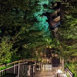 ツイートに含まれる画像