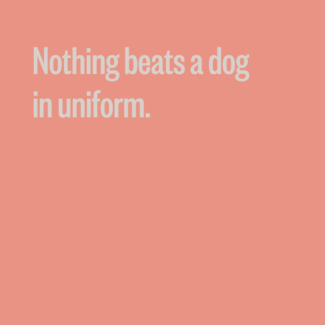 Let's be honest. Those pups in uniform are the true heroes.

#ToKnowThemIsToLoveThem #DoggoOnTheJobbo