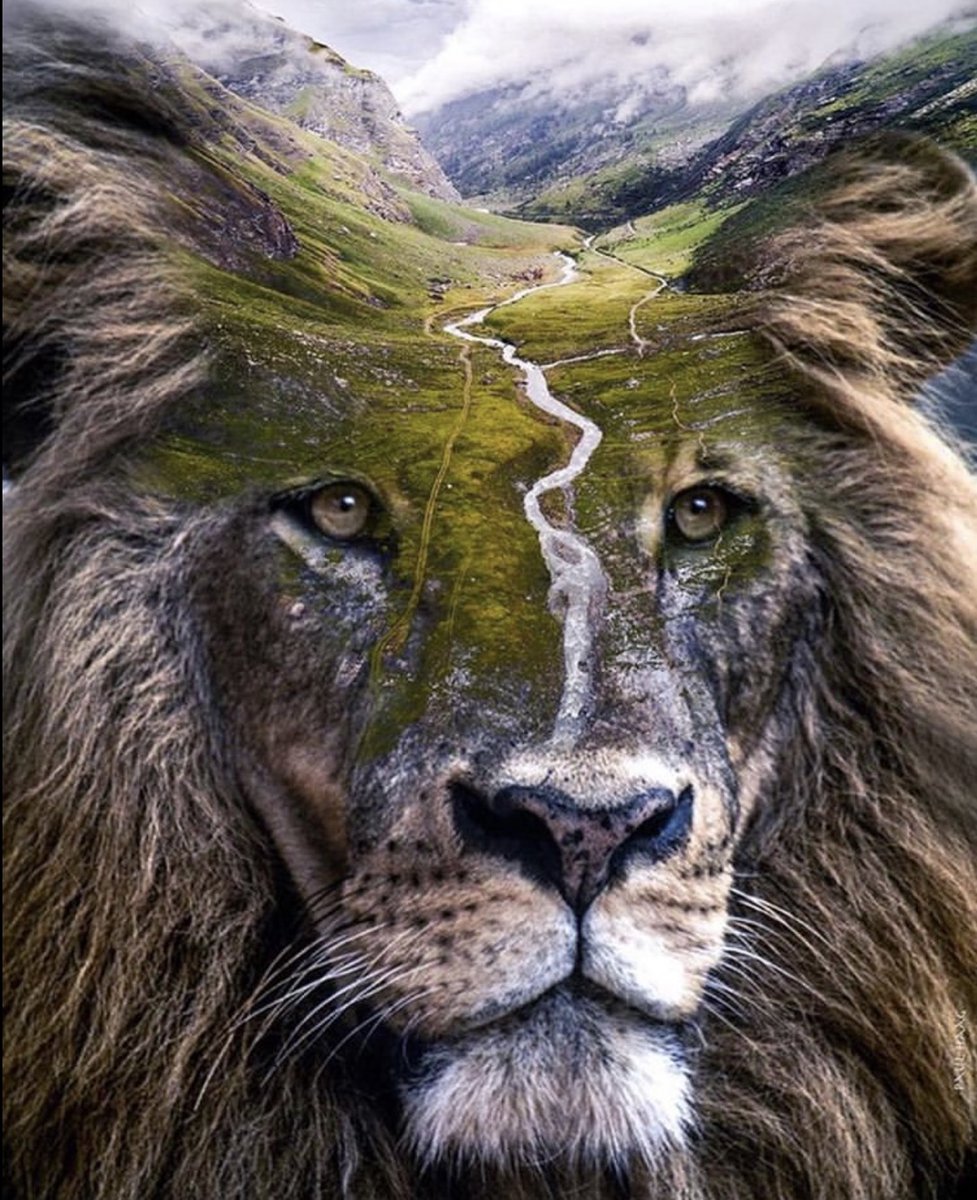 ramblingsloa's tweet photo. The world is a living being – one nature, one soul.
Keep that in mind.

Marcus Aurelius https://t.co/pSCdBaQXyB