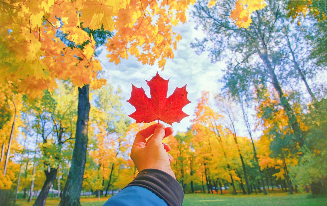 PICAPods's tweet photo. Happy first day of fall! Who else is ready for the beautiful season of colorful leaves, football, and bonfires? https://t.co/k8az1NO5Sp