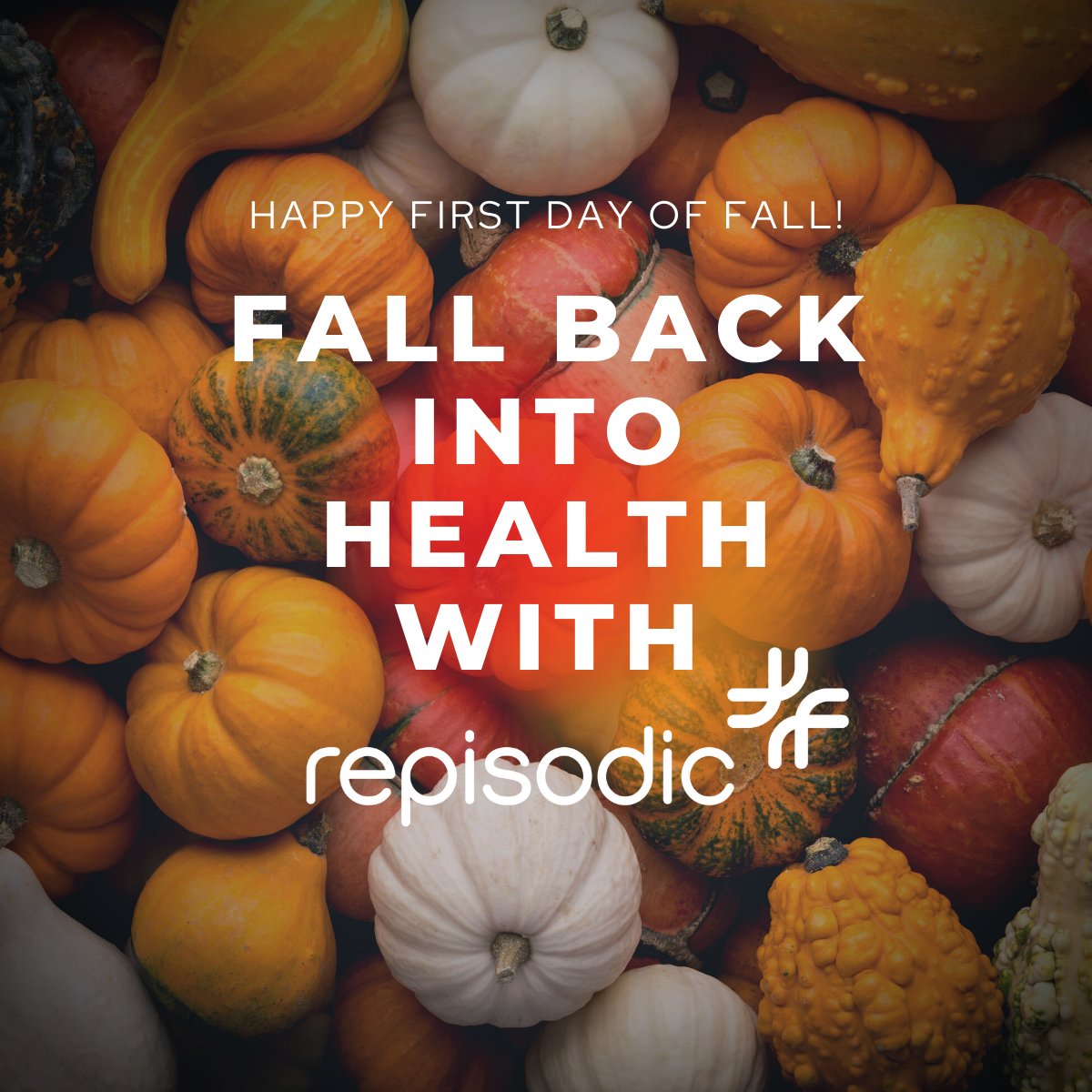 repisodicinc's tweet photo. 🍂 🍁Happy 1st Day of Fall🍁🍂
Fall is the season for change...Are you ready?!
We're ready to help change the way you discharge your patients &amp; make way for the NEW; by speeding up the process &amp; improving the accuracy of each care transition. Let's Fall back into health together! https://t.co/teQkYUd1Ne
