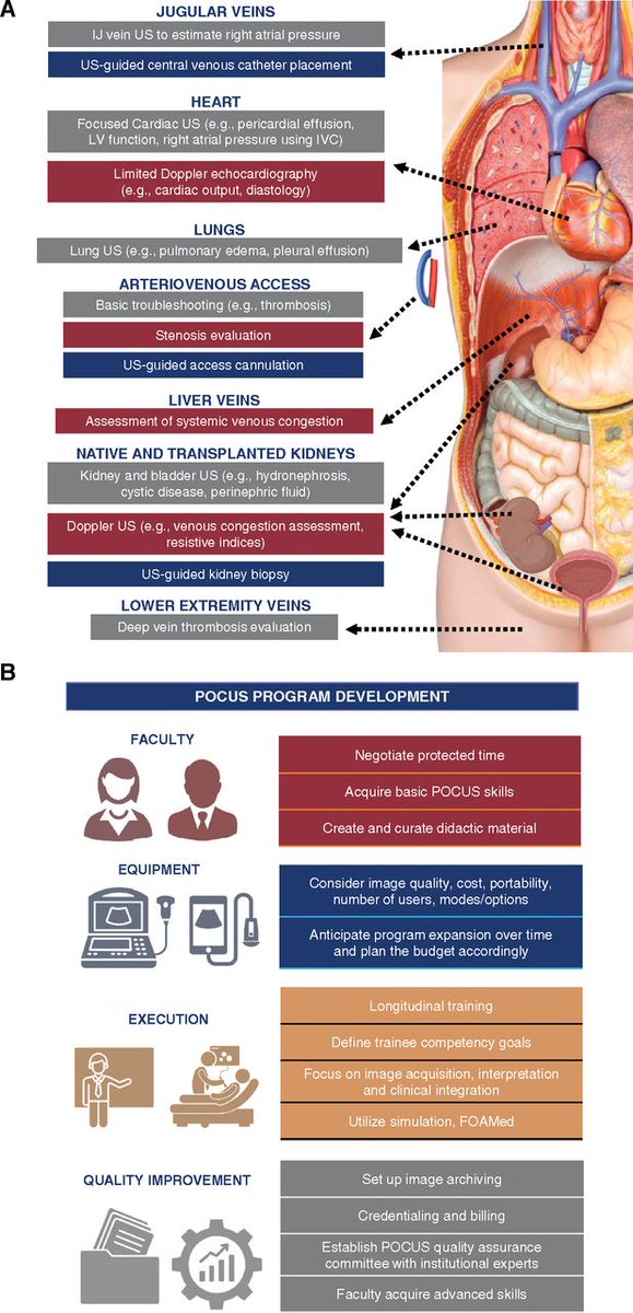 "Nephrology training programs need to invest in faculty development, with intensive training for faculty POCUS mentors and protected time to provide one-on-one hands-on training for fellows." This Editorial argues for more POCUS training bit.ly/CJN09580822

<a href="/nephrothaniel/">Nathaniel Reisinger</a>