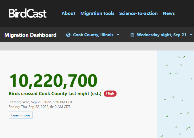 BirdMonitors's tweet photo. Over 10 million birds crossed Cook County last night! Thanks to everyone who did their part by turning off lights and reporting injured birds to our hotline (773-988-1867).

Tonight should be another big night, so stay the course! https://t.co/FyaqwIWMe3