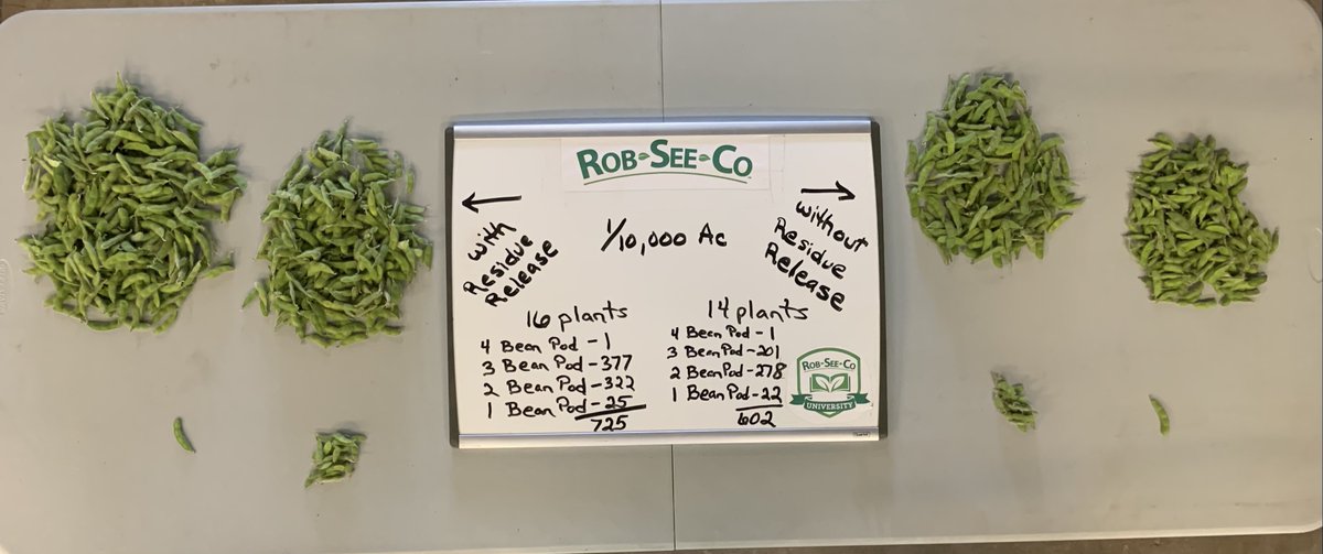 RobSeeCo's tweet photo. Take a look at the difference Residue Release can make when it comes to your yields! In a soybean trial plot near Brownton, MN, Residue Release showed a 13,500 plant advantage with ground applied Residue Release and it has held true to the fall. https://t.co/9E6h5li14F https://t.co/LO6JCSWDDW