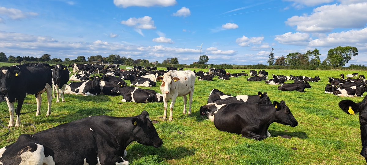 Are you interested in dairy farming? We're proud to have a pedigree herd of Holstein-Friesian dairy cows to utilise when teaching our students the best practices. Want to know more? Why not come along to our upcoming open day on the 14th? Call us now to book your place!