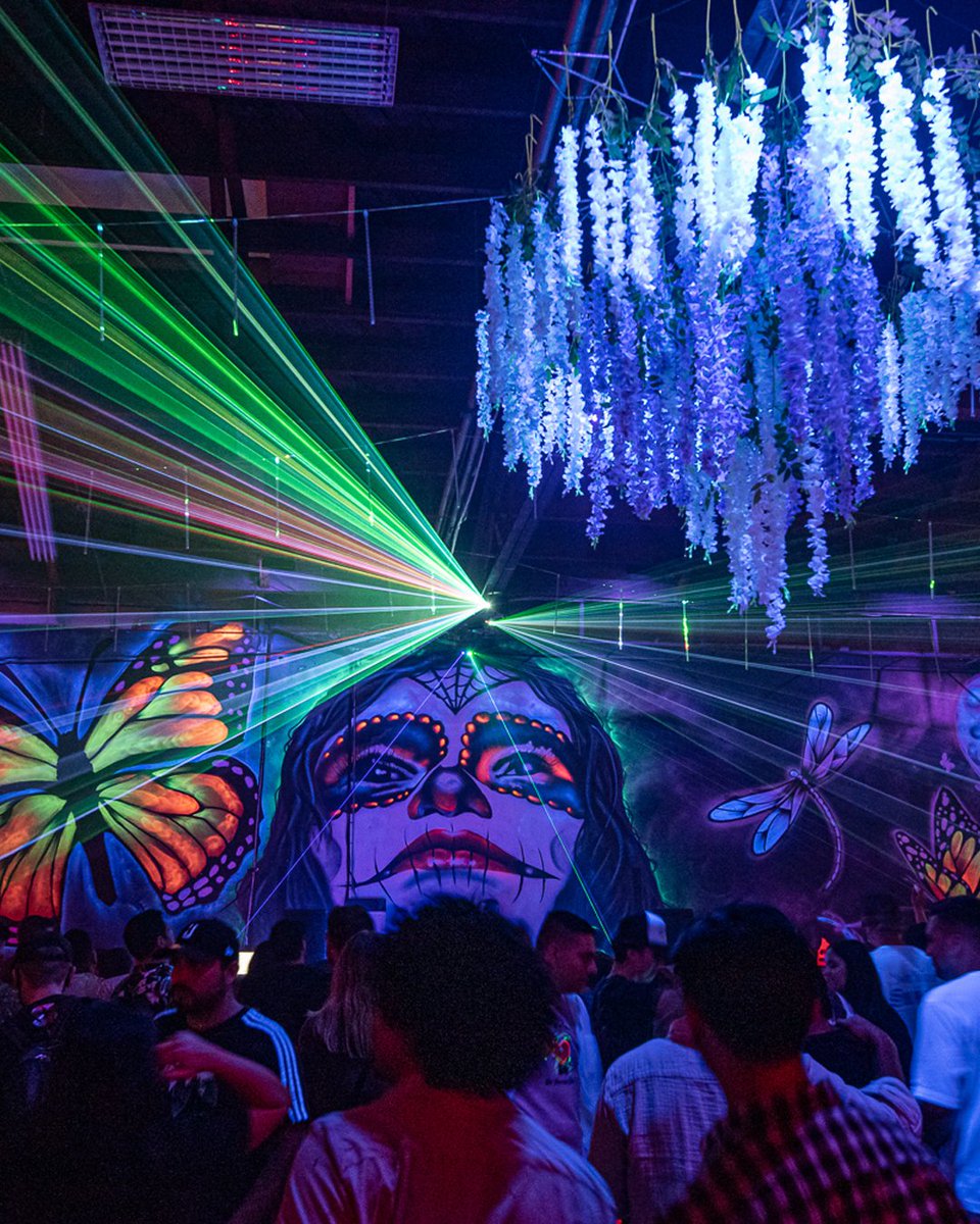 Last weekend’s live set impressions from the west coast 🦋