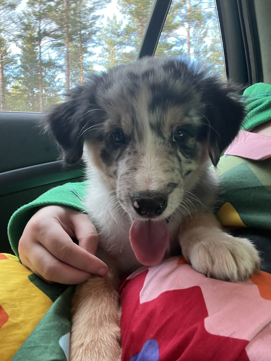 🌈 michelle@phpc.social tweet media