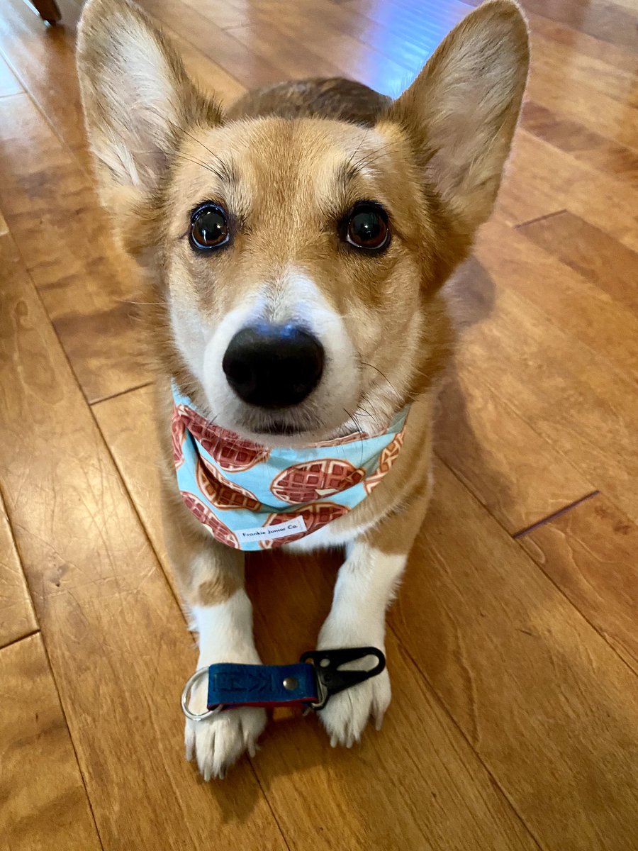 Kaiju Cut & Sew tweet media