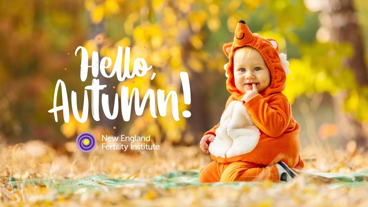 It's #FALL, baby! We're so lucky to be in #NewEngland, where #autumn is spectacular. #IntendedParents traveling here from other parts of the U.S. or the world love our fall #foliage. Also, who doesn't love #sweaterweather?