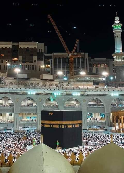 MSA_Akash_1's tweet image. 👉 রাতের শেষ পোস্ট 👇
🥰I love Allah 🥰
মানুষ কি মনে করে যে, তাকে এমনিই ছেড়ে দেওয়া হবে?   -সূরা কিয়ামাহ, আয়াতঃ ৩৬
#Bestphoto
#Greatpost
#GoodNightTwitterWorld