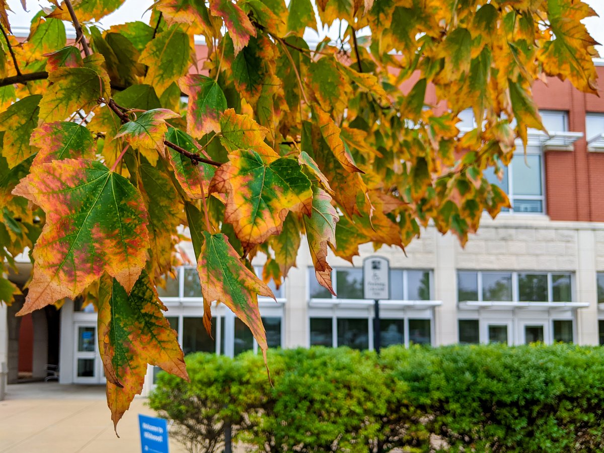 STLCC's tweet photo. #Fall temps are finally here – just in time for the changing seasons! 🍁🍂 Happy #AutumnalEquinox, Archers! https://t.co/wBqEfrgAnF