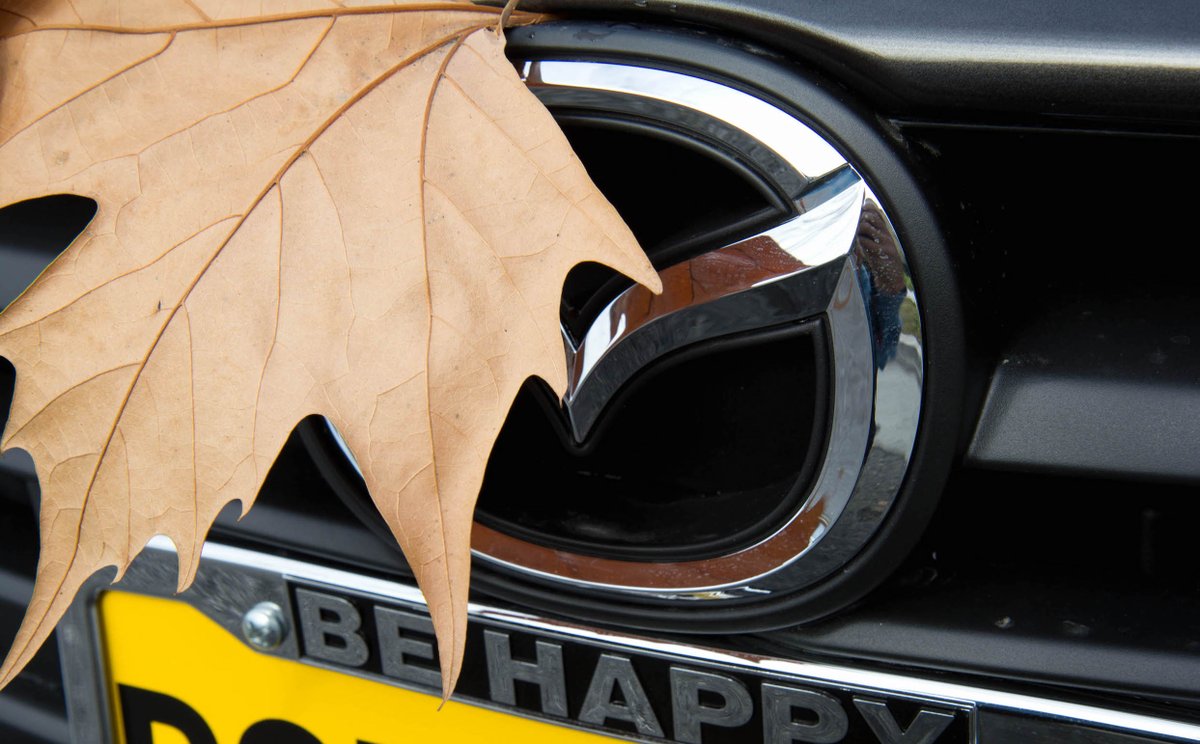 TeamMazdaDGDG's tweet photo. Happy First Day of Fall! 🍂 https://t.co/5ytx5VC1vb
