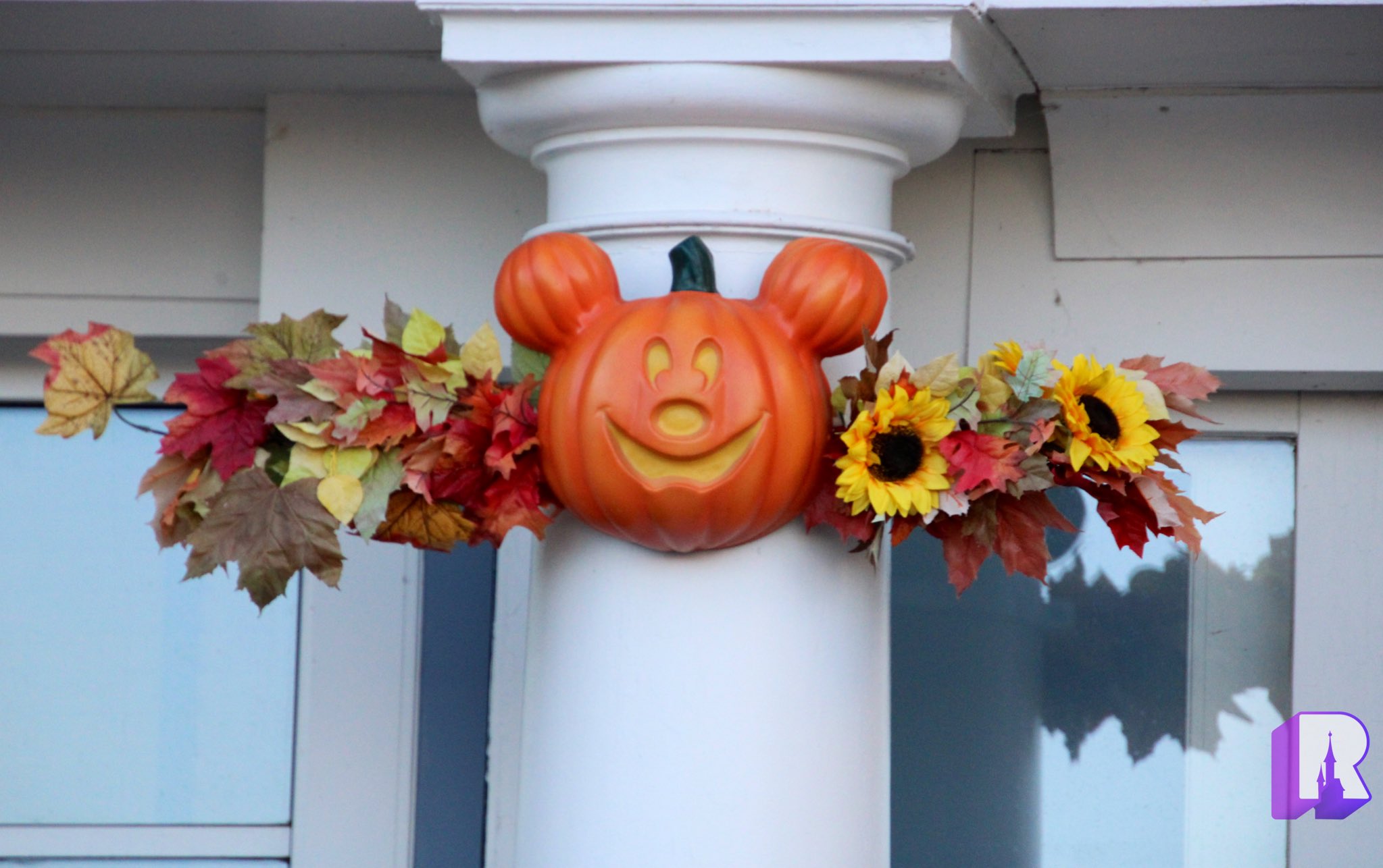 DLP Report on Twitter "🎃 More shots of Disney Newport Bay Club, all decked out for Halloween