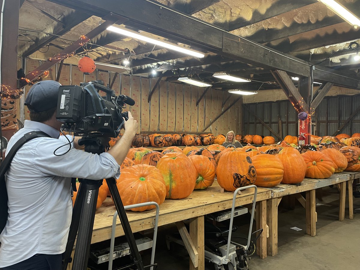 ParksAllianceLu's tweet photo. Thank you, @spectrumnews1ky, for coming to the pumpkin barn to chat about @jols_lou, Presented by @thorntonsllc.
#fallfun #pumpkins #louisville #ky #502pumpkins #jackolantern #familyfun #halloween #pumpkinart #fall https://t.co/hr37nWYzih