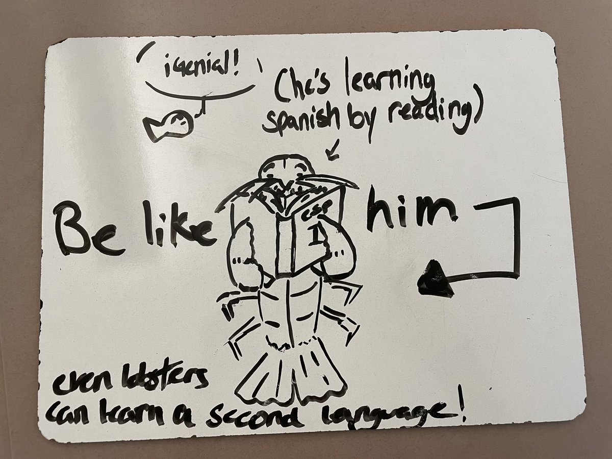 Abby C.’s rendition of 2nd language acquisition! #proficiency #WLMedfield #MedfieldPS #SLAforthewin