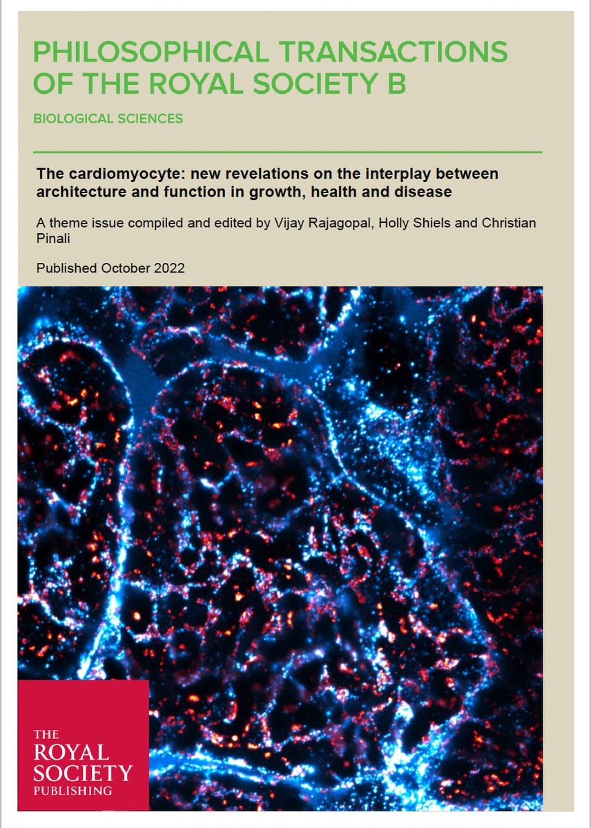 Vijay Rajagopal tweet media