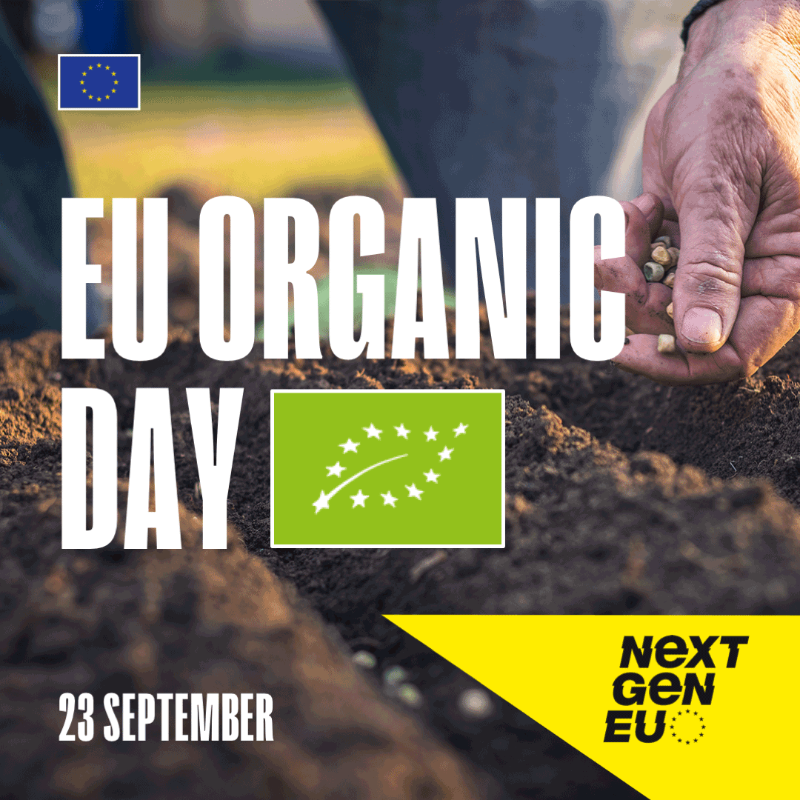 EUAgri's tweet photo. It's #EUOrganic Day! 

Organic practices benefit pollinators 🐝
preserve soil fertility 🌱
promote animal welfare 🐄
&amp; have a limited environmental impact 🌍

#NextGenEU