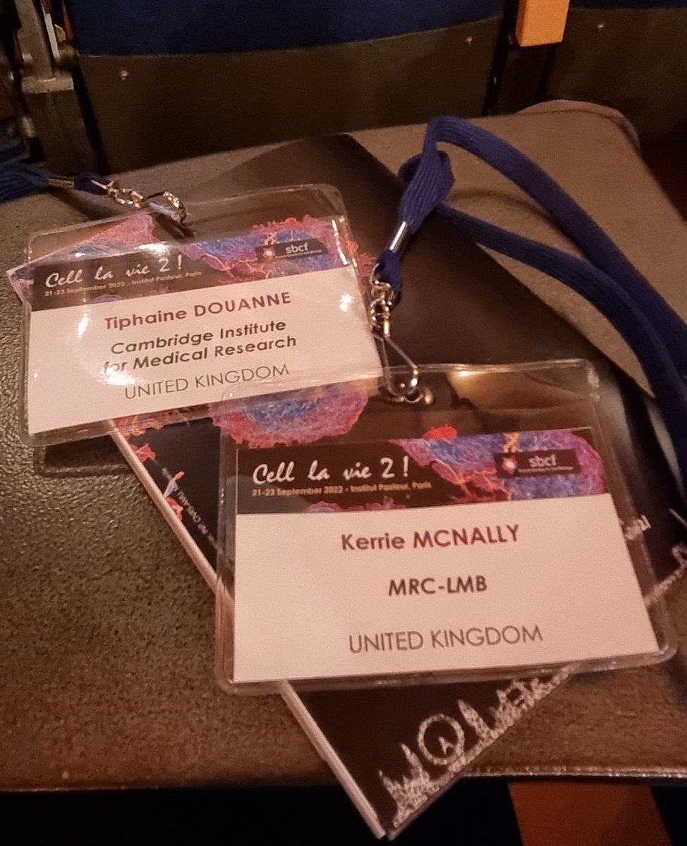 It's a <a href="/Kings_College/">King's College, Cambridge</a> CRA reunion with <a href="/KerrieMcNally1/">Kerrie McNally</a> from @DeriveryLab. Happy to be in sunny Paris discussing amazing science at #CellLaVie2 @griffiths_lab 🔬.