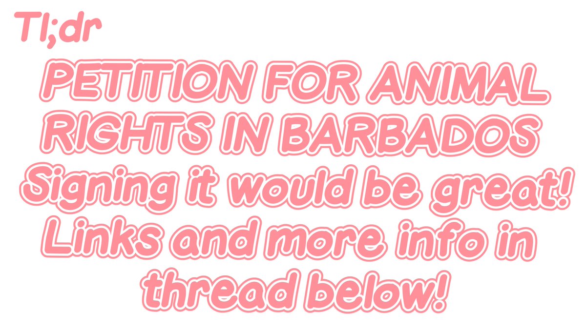 (｀ー´) Important stuff