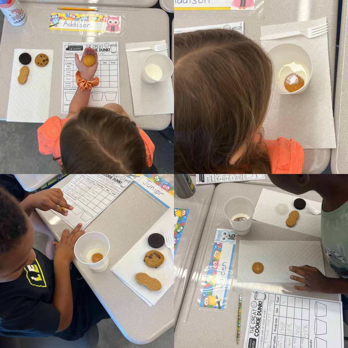cdpilger's tweet photo. Loved some science this morning @quintonnkcps! These Cubs were predicting, questioning and investigating! The dialog was amazing in Ms. Cannons class! https://t.co/MpWlFFrhUR