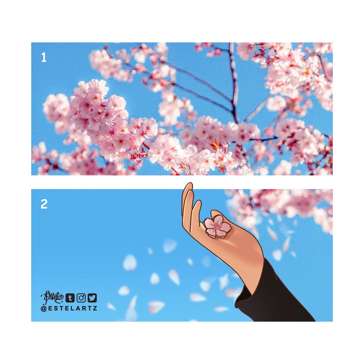 estelartz's tweet photo. Sasuke e Sakura estão conectados🌸 #Sasusaku https://t.co/a7A3FnEVoB