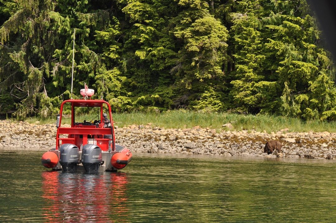 Wilderness Tourism Association (@wtaofbc) on Twitter photo Campbell River Whale Watching is another WTA member offering ethical and educational wildlife viewing.
Check out our website for more responsible travel inspiration this fall.
π·: <a href="/CRWhaleWatching/">Campbell River Whale Watching</a>
#ExploreBC #WildernessTourismBC #ExploreWildBC Campbell River Whale Watching is another WTA member offering ethical and educational wildlife viewing.
Check out our website for more responsible travel inspiration this fall.
π·: <a href="/CRWhaleWatching/">Campbell River Whale Watching</a>
#ExploreBC #WildernessTourismBC #ExploreWildBC