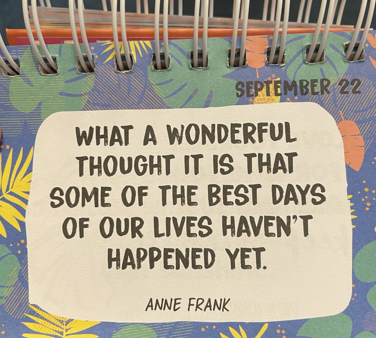 Ruth Saxton tweet media