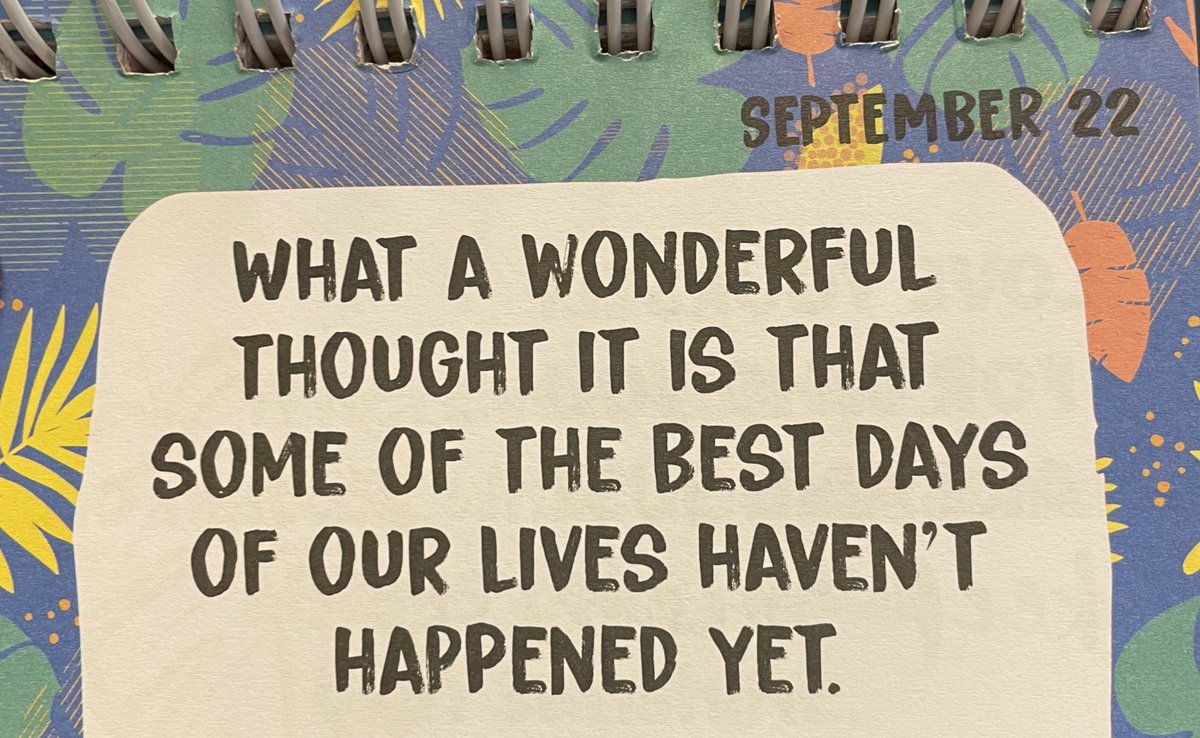 Ruth Saxton tweet media