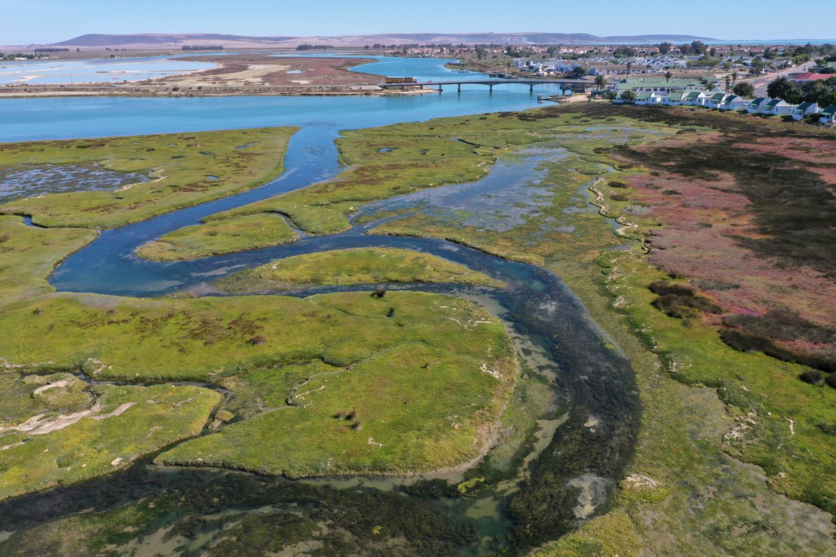 **Watch this space*** 👀

Excited that the Berg River Improvement Program has been nominated as a finalist for this year's <a href="/EcoLogicAwards/">The Eco-Logic Awards</a> 2022 in the Water Conservation category. 🏆 

Good luck to our team (<a href="/FynbosPhil/">Phil McLean</a> &amp; <a href="/joyleaner/">joyleaner</a>) representing us tonight! 

<a href="/WesternCapeGov/">Western Cape Gov</a>