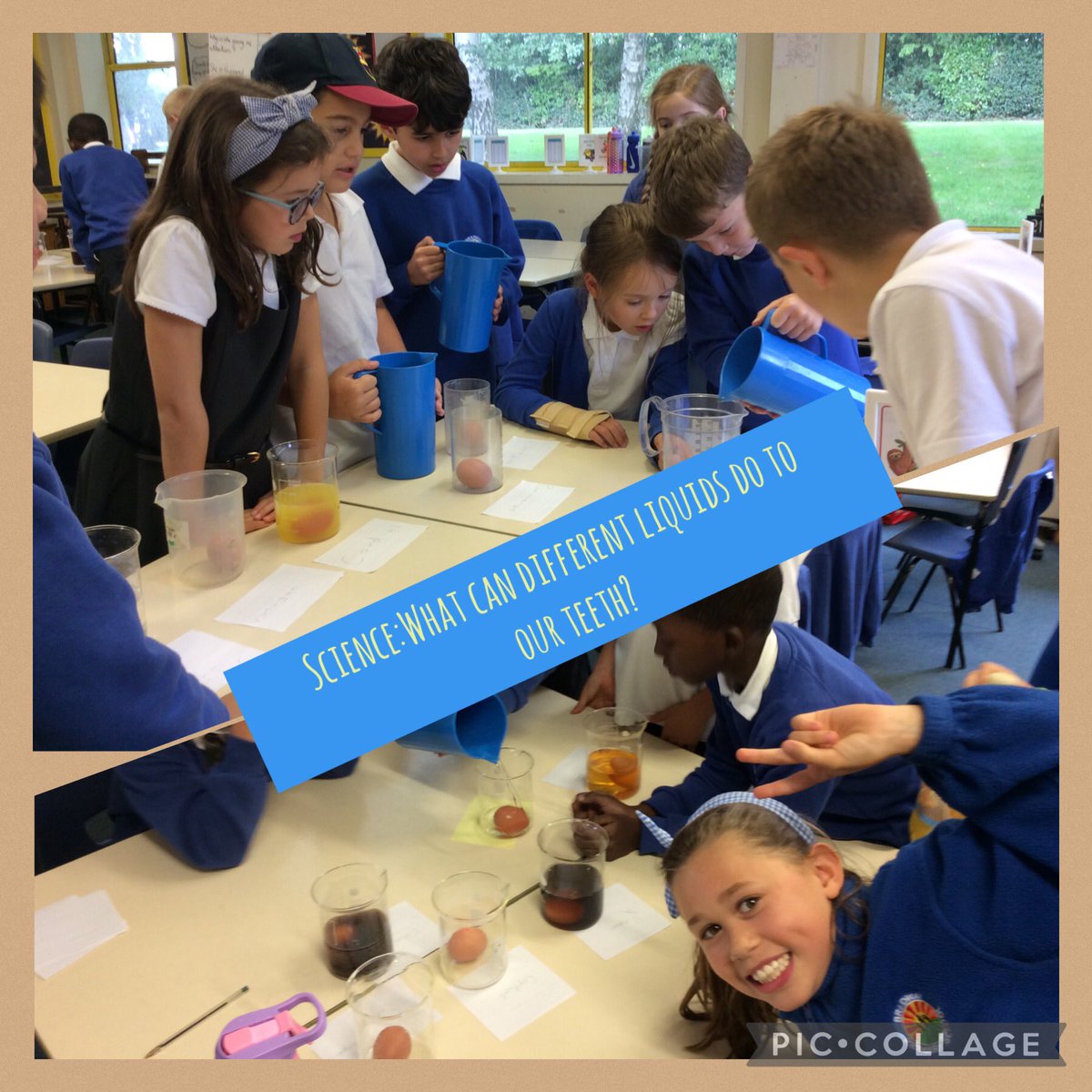 Y4Bradway's tweet photo. In Y4, we have been investigating the impact of different liquids on our teeth enamel using a very similar material - eggshells! 🦷 🥚We will observe the process over time to record the gradual change (if there is one to be seen). What an eggcellent eggperiment😎 @BradwayScience https://t.co/fQfGVMFOwb