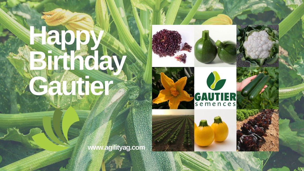 Agility Agriculture (@agility_ag) on Twitter photo On the eve of special celebrations we send our congratulations to the <a href="/GautierSemences/">Communication Gautier Semences</a> family and their team on 70 years of breeding and supply to the industry. We are proud to supply the Gautier portfolio to growers in the UK & Ireland and look forward to the season ahead. On the eve of special celebrations we send our congratulations to the <a href="/GautierSemences/">Communication Gautier Semences</a> family and their team on 70 years of breeding and supply to the industry. We are proud to supply the Gautier portfolio to growers in the UK & Ireland and look forward to the season ahead.