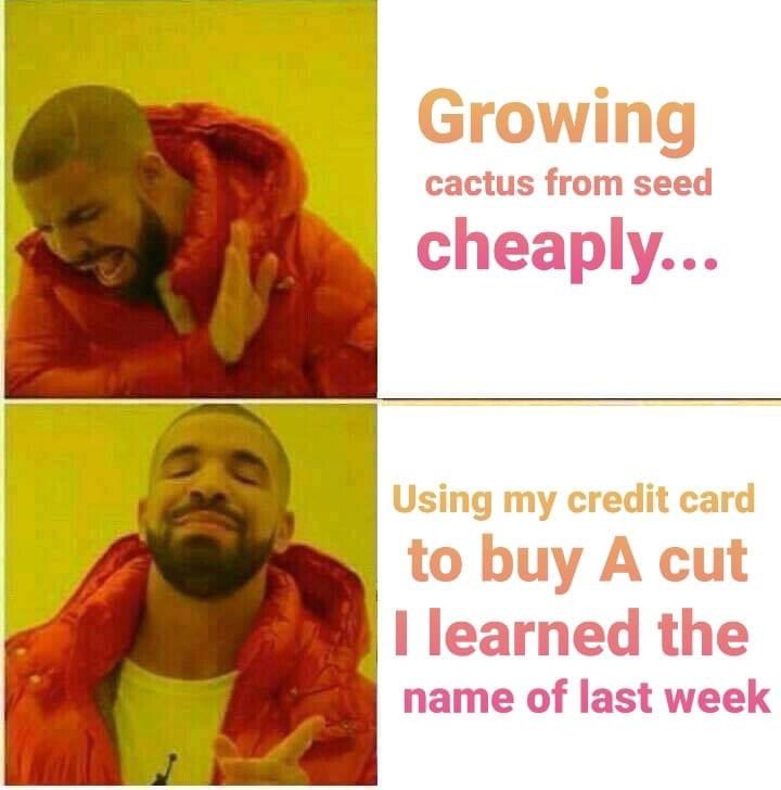 Something2GrowOn tweet media