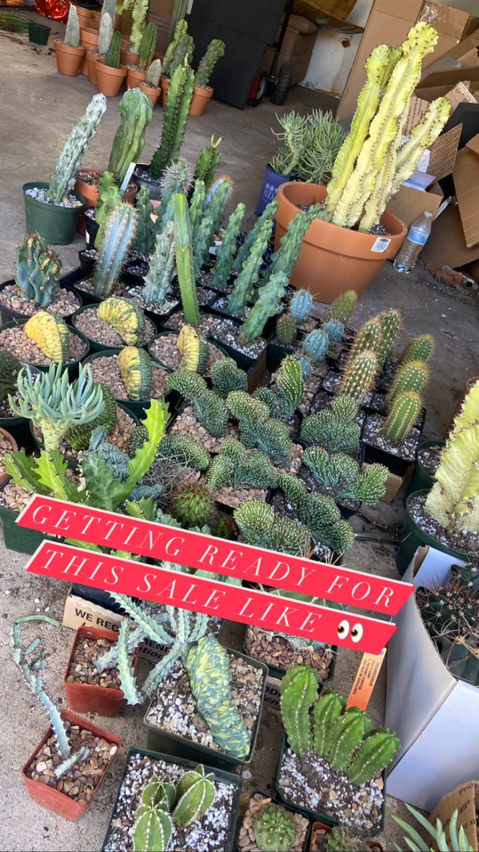 Something2GrowOn tweet media