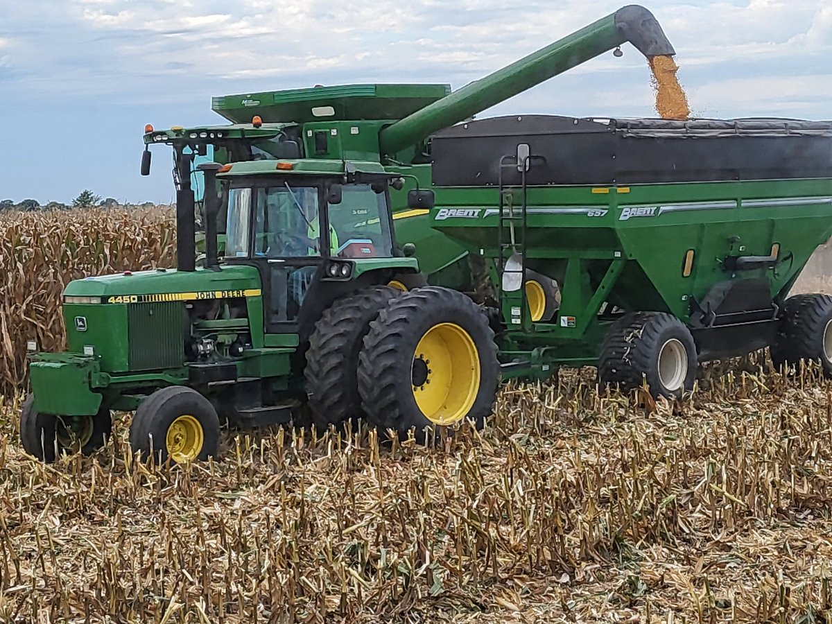 These graphics are insane.