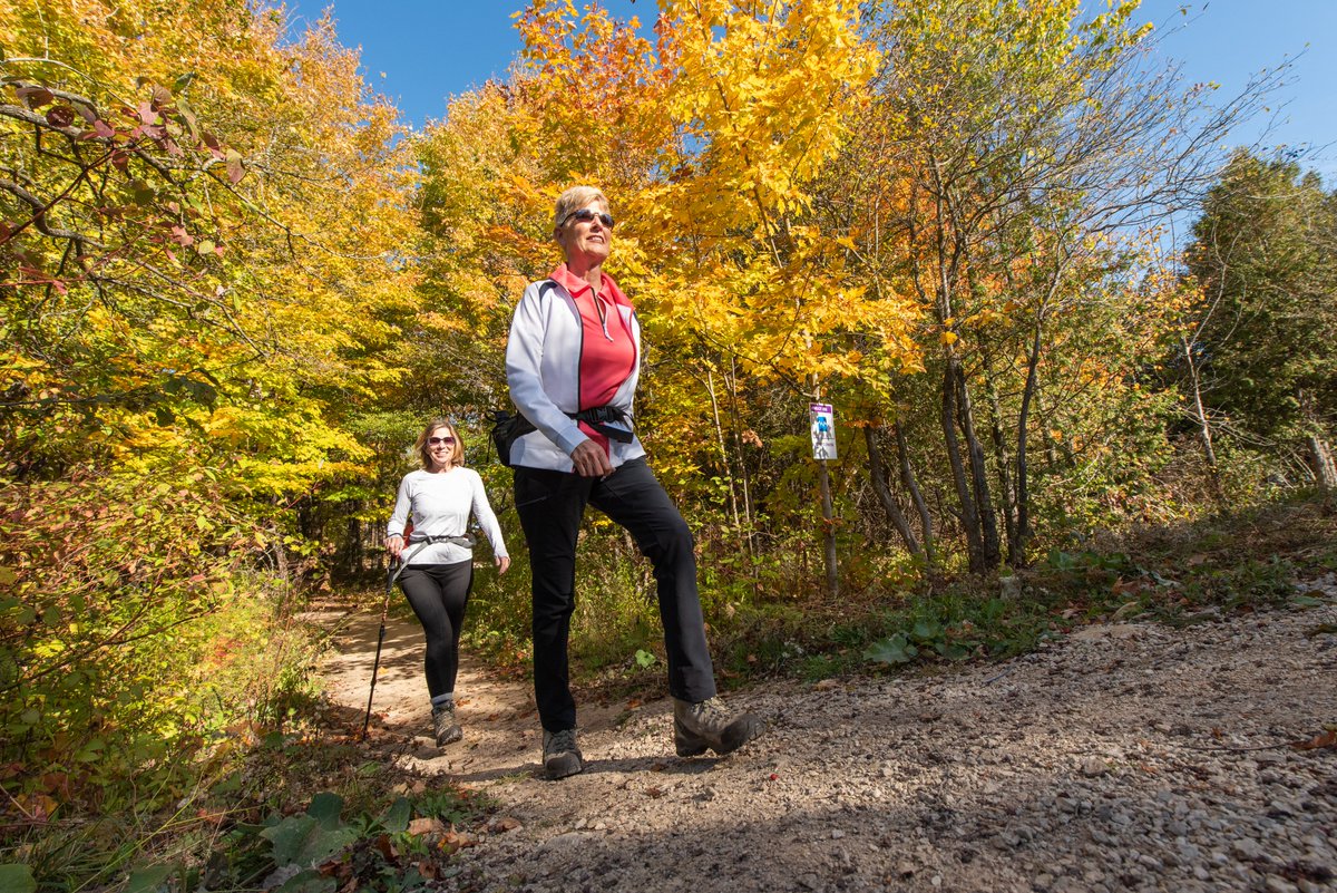 BlueMtnResort's tweet photo. Welcome to the season of colourful leaves, apple pies &amp; sweater weather! 🍂 It's the perfect time to book your autumn getaway &amp; make the most of what fall has to offer, because tomorrow is your last day to save 15% on 2-night stays valid now until Dec 2nd: https://t.co/haNmnEUCpc https://t.co/b3PSMvAG3r