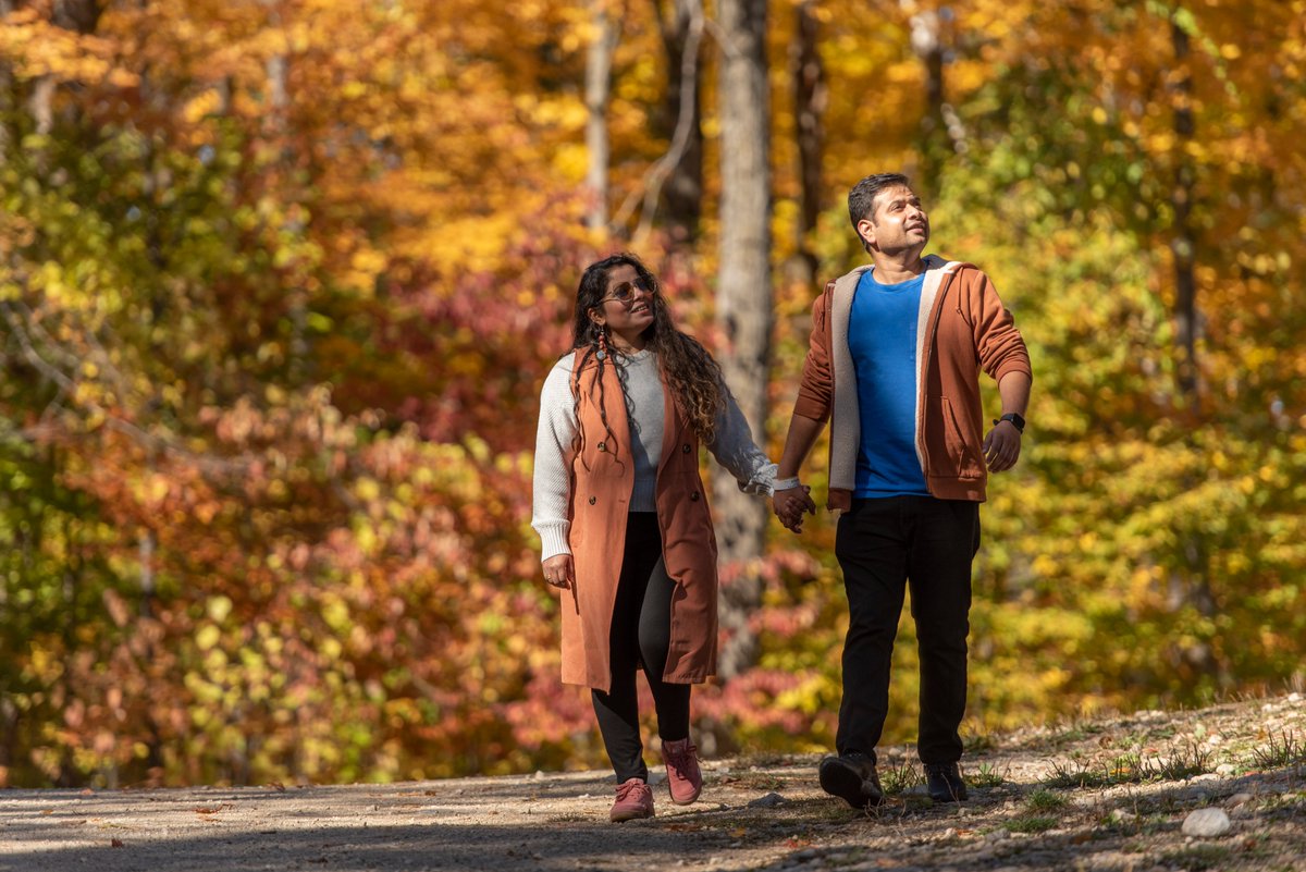BlueMtnResort's tweet photo. Welcome to the season of colourful leaves, apple pies &amp; sweater weather! 🍂 It's the perfect time to book your autumn getaway &amp; make the most of what fall has to offer, because tomorrow is your last day to save 15% on 2-night stays valid now until Dec 2nd: https://t.co/haNmnEUCpc https://t.co/b3PSMvAG3r
