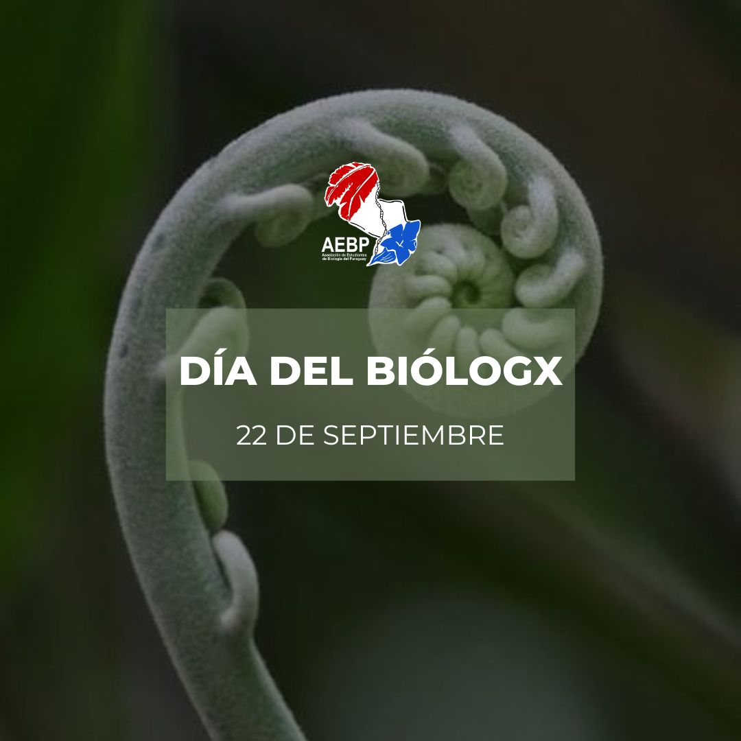 AEBPy's tweet photo. Desde la AEBP les deseamos un feliz día a todas las personas dedicadas a estudiar y ejercer la Biología 🌱💚

Les alentamos a seguir construyendo el camino hacia un Paraguay con más profesionales científicos 👩🏻‍🔬🧑🏻‍🔬 https://t.co/qLCg91q3Vy