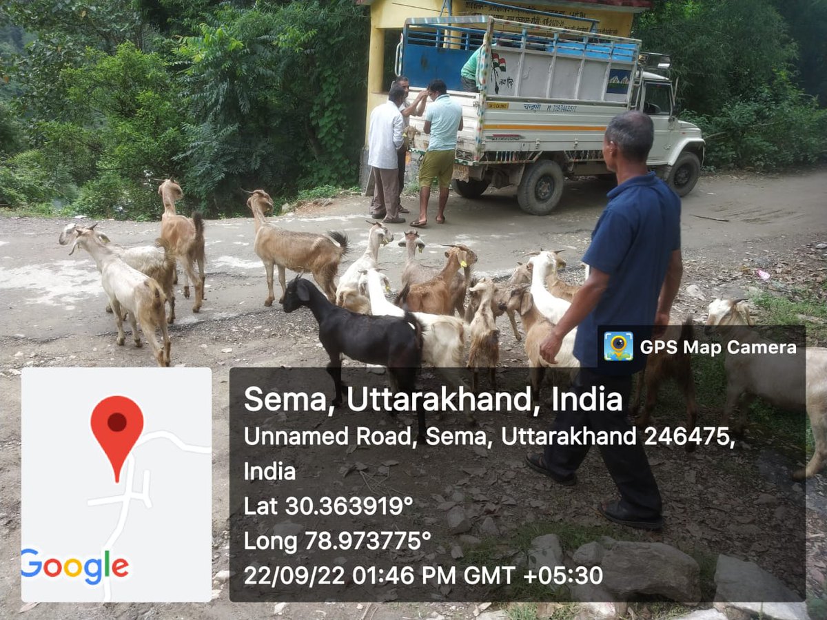 fiurudraprayag's tweet photo. ग्राम क्यूंजा, महरगांव तथा क्यार्क में परियोजना के माध्यम से लाभार्थियों को 30 स्वस्थ बकरियों का वितरण किया गया! #GoatsDistribution
#NCDC #UKCDP_USGCF @Dept_of_AHD @pashudhanUK @Saurabh1378 @basava_ias @mdusgcf @aviddn @Uttarakhandcoo1 @mdncd @SANJAYK47559742 https://t.co/xSsqCfIzDW