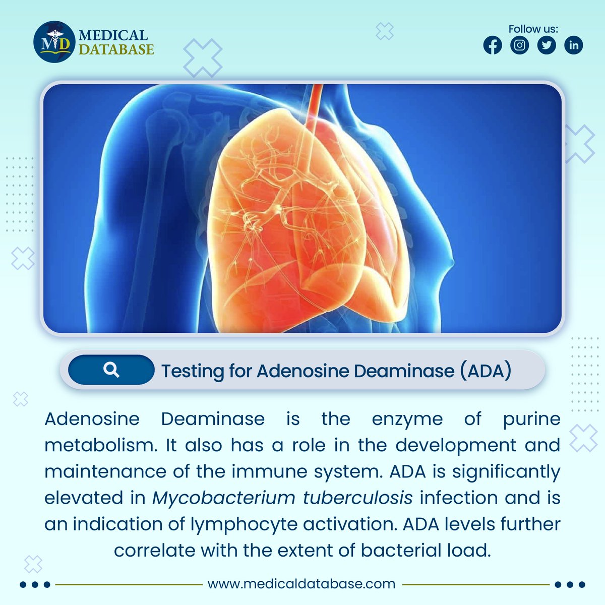 DatabaseMedical's tweet photo. Learn more about the testing of serum albumin with Medical Database.
 https://t.co/dZgm9q4kII
 #medicaldatabase https://t.co/csimJM8ZkX