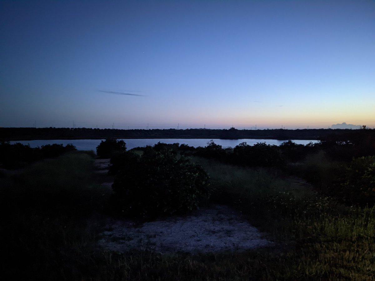 ShuttGoesRiding's tweet photo. Early-morning training on the gravel bike. These views aren't particularly spectacular but they were a part of my tempo workout here in #CentralFlorida #RealFlorida #visitsebring #visitcentralFlorida #JamisRenegade #groad #gravel #usmes https://t.co/qUaV2svkuf